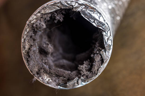 Best Duct Cleaning for Homes  in Devine, TX